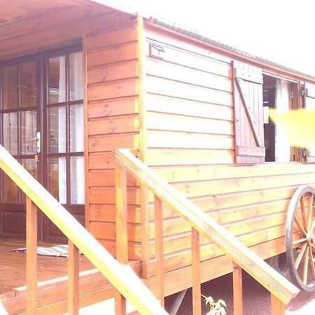 Hotel Ferme Lebon Papillon La Roulotte Le Tampon Zewnętrze zdjęcie